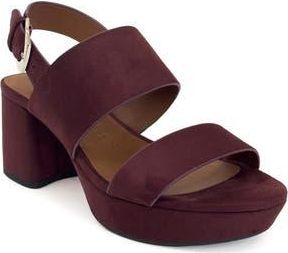 Aerosoles Camilia Platform Sandal in Fig Suede at Nordstrom Rack, Size 5.5