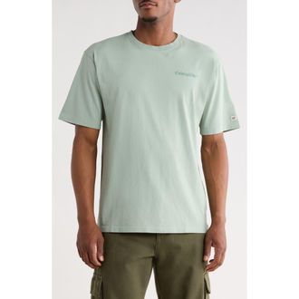 CAT Relaxed Fit Embroidered Heavyweight Cotton T-Shirt in Iceberg Green at Nordstrom Rack, Size Xx-Large