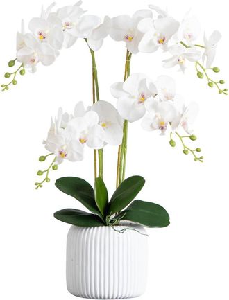Nearly Natural 26-in Artificial Phalaenopsis Orchid Arrangement in Decorative Ceramic Vase in White at Nordstrom