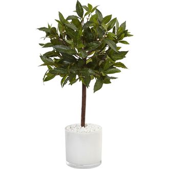 Nearly Natural 2-ft Sweet Bay Artificial Tree in White Glossy Cylinder in Green at Nordstrom