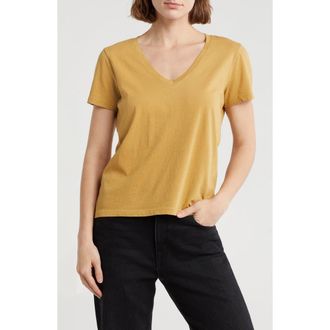 Madewell Softfade V-Neck Tee in Golden Khaki at Nordstrom Rack, Size X-Small