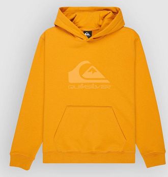 Quiksilver Comp Logo Kids Hoodie geel