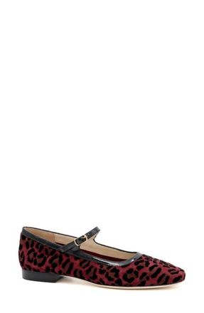 Amalfi By Rangoni Galba Mary Jane Flat in Wine Kito at Nordstrom, Size 9.5