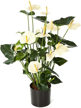 Baq Lebensechte Kunstpflanze Anthurium Busch Cream, &oslash; 45 H&ouml;he 78 cm