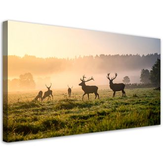 Feeby Cuadro En Lienzo, Ciervos En Celo En La Niebla, 120x60