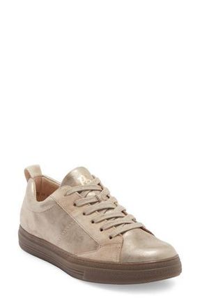 Paul Green Capri Sneaker in Champagne Almond Combo at Nordstrom Rack, Size 6