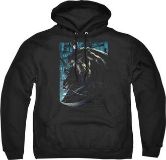 Gildan Batman Knight Falls In Gotham Adult Pull Over Hoodie / Hooded Sweatshirt