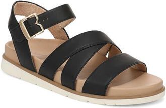 Dr. Scholls Free Life Quarter Strap Sandal in Black at Nordstrom, Size 9.5
