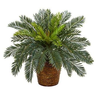 Nearly Natural 15-in Cycas Artificial Plant in Basket in Green at Nordstrom