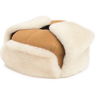 UGG UGG Suede Genuine Shearling Trapper Hat in Chestnut at Nordstrom Rack, Size Small/medium