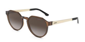 Colcci Noa C0185FG334 Mens Sunglasses Brown Size 53