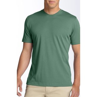 Robert Barakett Georgia Pima Cotton T-Shirt in Willow at Nordstrom, Size X-Large