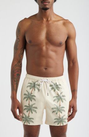 MAVRANS Palm Row Swim Trunks in Light Green at Nordstrom, Size Xx-Large