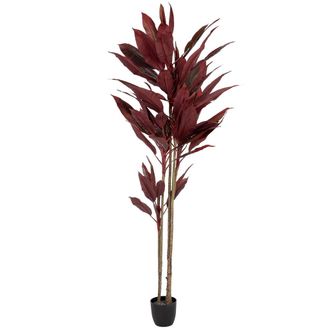 Wanderlust Deco Cicas Decorativo Artificial Rojo 90x90x210