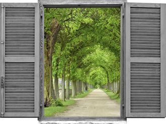 Queence Wandtattoo »Allee« Wandsticker, Wandbild, selbstklebend, 3D, Fenster
