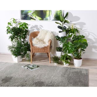 Theko Die Markenteppiche home24 Kurzflorteppich Kapstadt Cloud