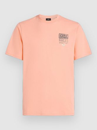O'Neill Retro Graphic T-Shirt pink