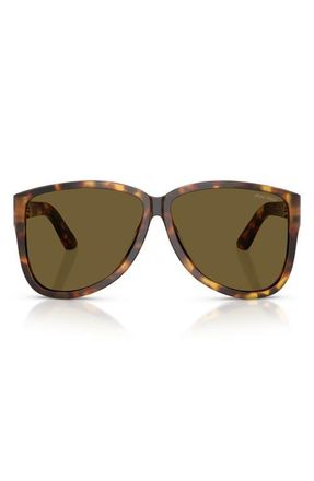 Miu Miu 61mm Oversize Pilot Sunglasses in Honey Havana /Dark Brown at Nordstrom
