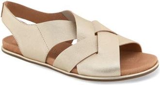 Gentle Souls Laken Slingback Sandal in Champagne Leather at Nordstrom, Size 9.5