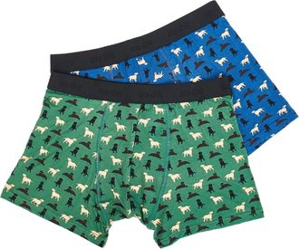 Eco Chic Mens Bamboo Boxers Breathable Hot and Cold Weather Underwear (Labradors Set of 2, XL)