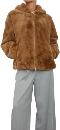 Fracomina Donna, Giacche, Marrone, M, new