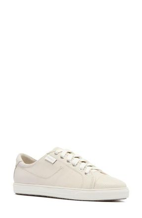 FRANKiE4 Nat III Cap Toe Sneaker in Chalk Emboss at Nordstrom, Size 6.5