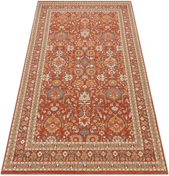 RugsX Rugsx - Alfombra De Lana Soho 477.26.la300 Osta Adorno, Marco Natural Terracota / Beige Orange 160x240 Cm