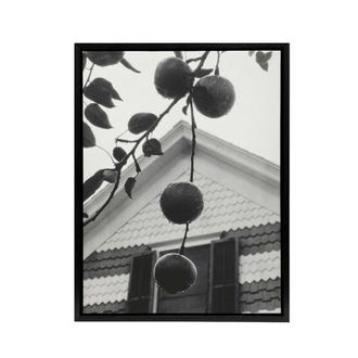 Artery8 Gable & Apples Photograph Alfred Stieglitz Framed Canvas Wall Art in Grey | Size: W24 x H32