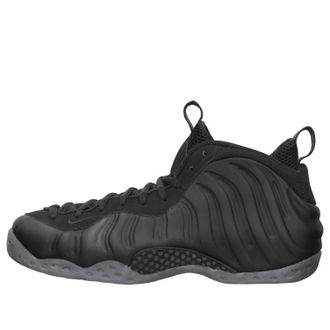 Nike Air Foamposite One Stealth 314996-010