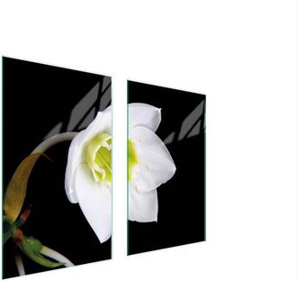 OEM Placa Protectora De Vidrio Para Estufa 75x52 Orqu&iacute;dea