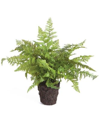Napa Home & Garden 10.5In Soft Fern Drop-In