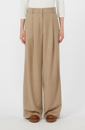 Max Mara Globale Stretch Wool Wide Leg Pants in Beige at Nordstrom, Size 10