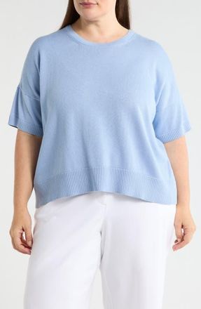 Eileen Fisher Crew Neck Knit Top in Skylight at Nordstrom, Size 1X