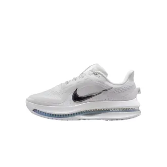 Nike Pegasus Premium White / Metallic Silver HQ2593-102 Womens