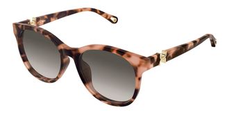 Chlo&eacute; CH0375SK Asian Fit 002 Womens Sunglasses Tortoiseshell Size 56