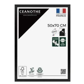 Ceanothe Ceanothe Marco 50x70 Negro Para Decoraci&oacute;n De Pared