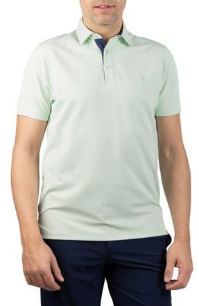 Tailorbyrd Micro Grid Performance Polo in Aloe at Nordstrom Rack, Size Xx-Large