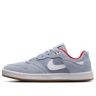 Nike SB Alleyoop Grey White CJ0882-400