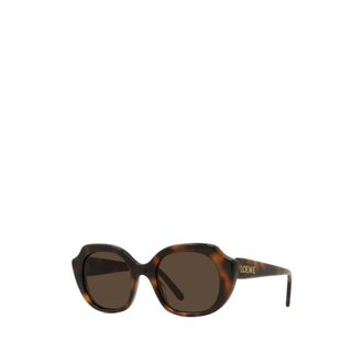 Loewe Sunglasses, female, Brown, Size: 50 MM Sunglasses