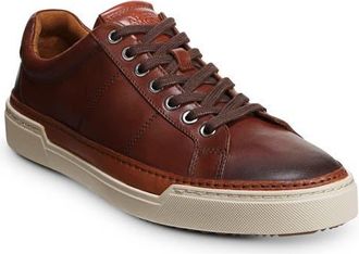 Allen Edmonds Porter City Sneaker in Chili at Nordstrom, Size 10.5