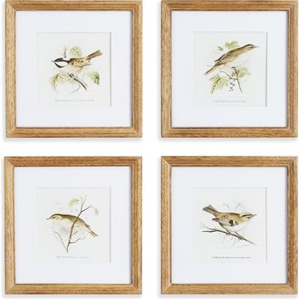 Napa Home & Garden Perching Bird Study Petite Set of 4 in Green at Nordstrom, Size Medium