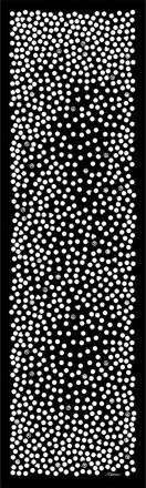 Moschino Mujer, Accesorios, Negro, Talla: ONE Size