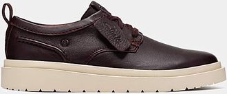 Clarks Polden Lace Shoes