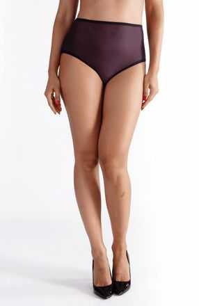 Lechery Lustrous Sheer High-waisted Brief in Black at Nordstrom, Size X-Large