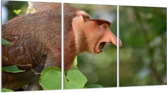 OEM Placa Protectora De Vidrio Para Estufa 3x30x52