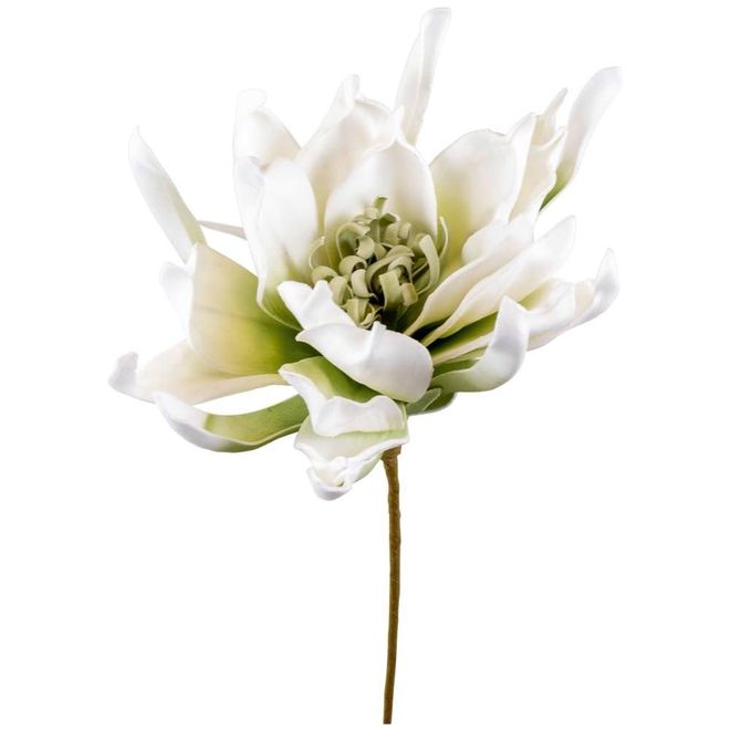 Matches 21 matches21 Schöne künstlicher Lotus aus Schaumstoff - Kunst Blume in Creme - Hübsche Hochzeit Pflanzen Deko wie echt Ø 20 x 60 cm ab 12,99 €