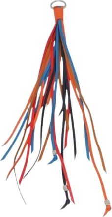 Loewe Pre-owned Accessories, female, Multicolor, Size: ONE SIZE Pre-owned Leather Key-holder