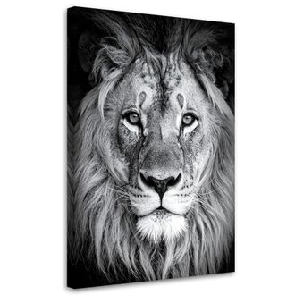 Feeby Cuadro En Lienzo, Le&oacute;n Africano En Blanco Y Negro, 80x120