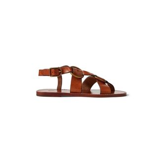 Polo Ralph Lauren Mujer, Zapatos, Marr&oacute;n, Talla: 38 EU