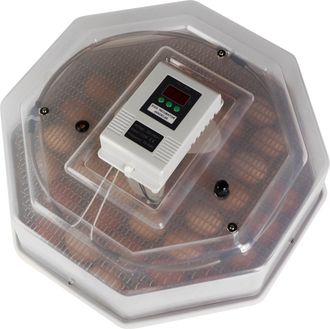 OEM Kruger Meier Prolexor 60 - Incubadora Con Termostato Para 60 Huevos
